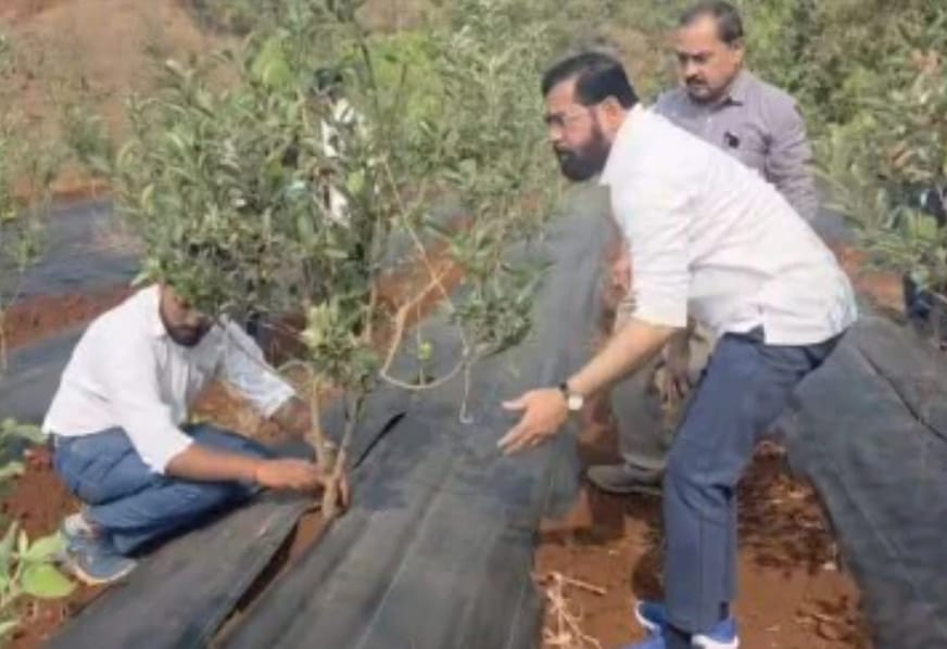 उपमुख्यमंत्री गावी शेतीत रमल्याने शेतकरी संघटनेला हात हलवत परतावे लागले.