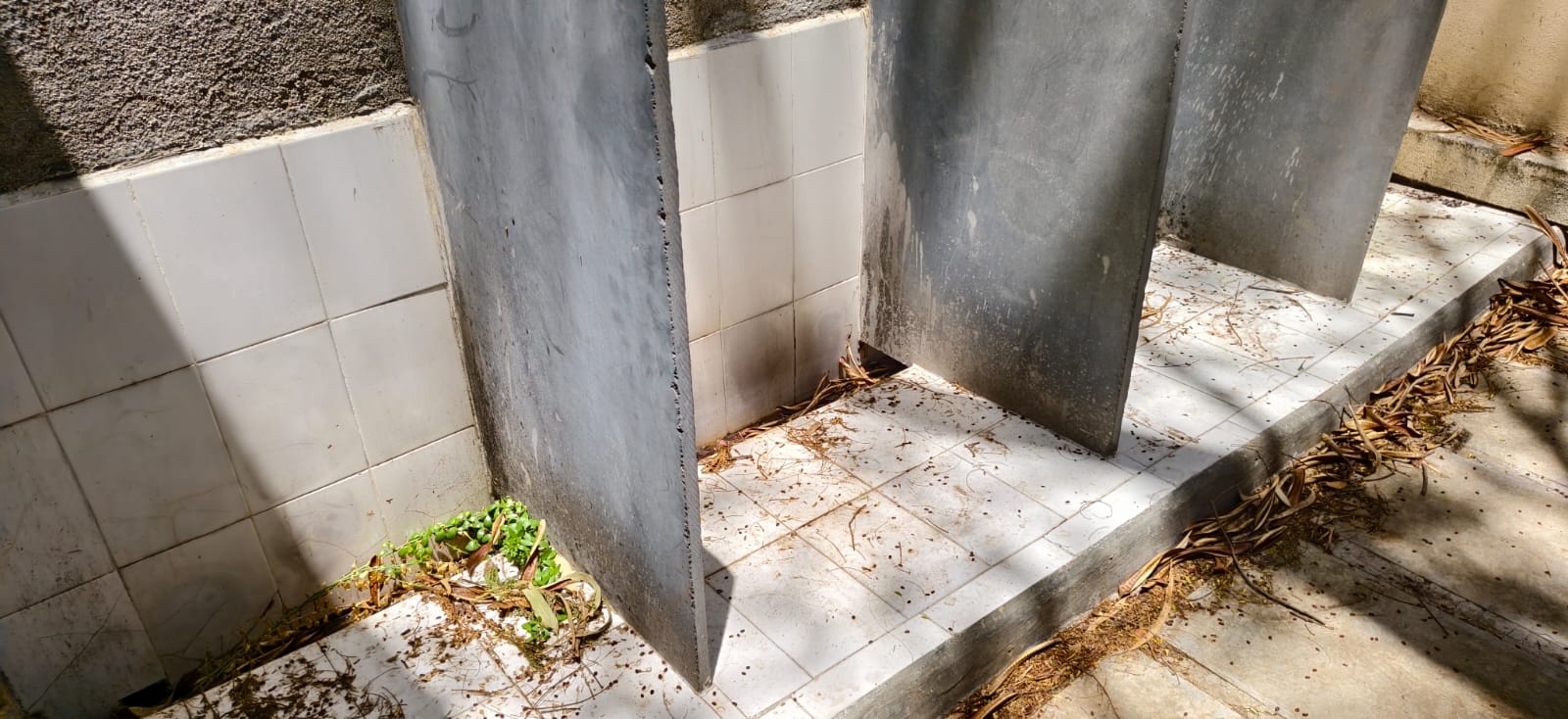 दहिवडी कृषी कार्यालयातील स्वच्छतागृहांची दुरवस्था